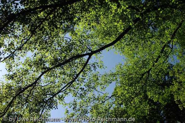 nil