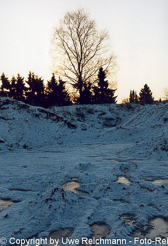 966n01