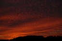 2007_10_20_18.37.14h