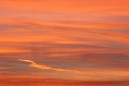 2007_02_17_07.26.40h_2