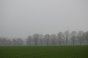 2007_02_18_15.51.38h