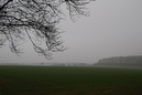 2007_02_18_15.56.34h